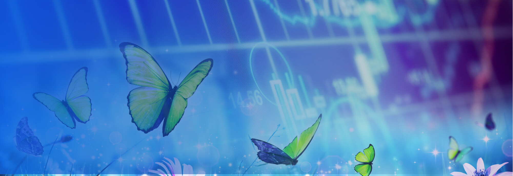 ‘Stalwart Strategy’ Outpaces ‘Buy The Dip’ Simpler Trading