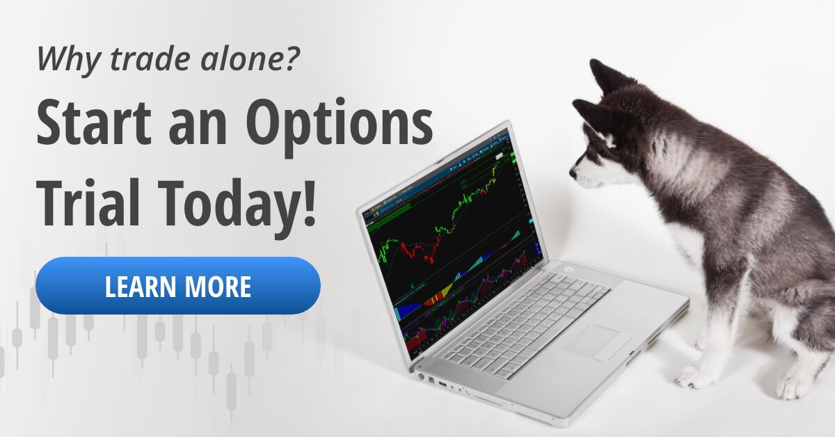 Start an options trail ad