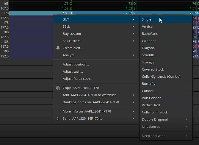 How to buy put options: image focusing on the 170 strikes.