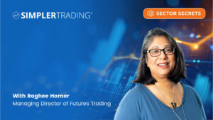 Sector Secrets video Raghee Horner